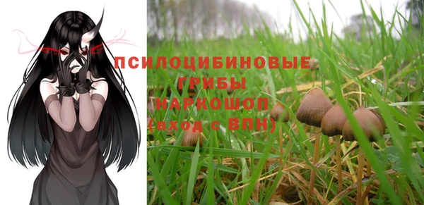 не бодяженный Вяземский